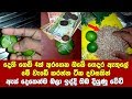 දෙහි ගෙඩියකින් කරන කෙම් ක්‍රමයක් අස්�