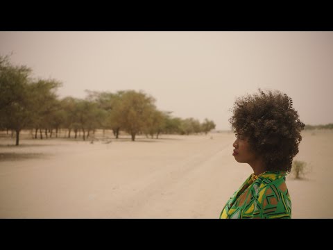 THE GREAT GREEN WALL TRAILER