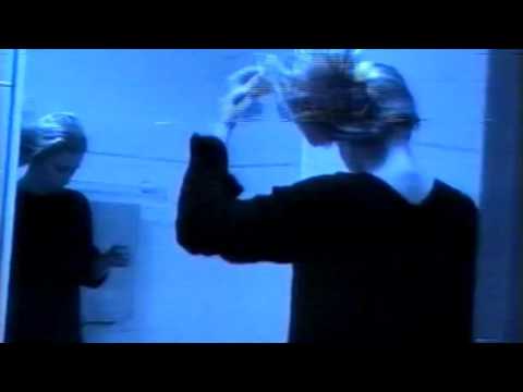 Kodyak - into the trees