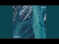 Spread Wings (Anii Remix)