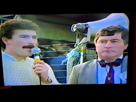 Turloughmore  celebrate  the 1985 county championship  win.