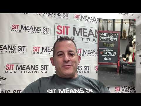Video thumbnail: Westchester's Premier Dog Trainers