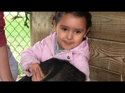 Excursió a la Granja