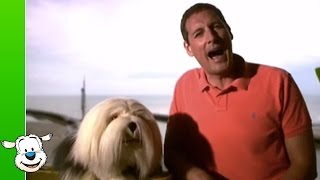 Samson &amp; Gert - Wij gaan naar zee