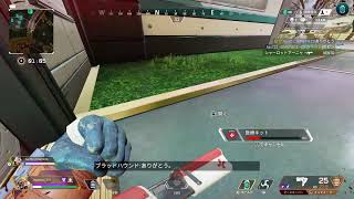 お久しぶりです生存報告[APEX]