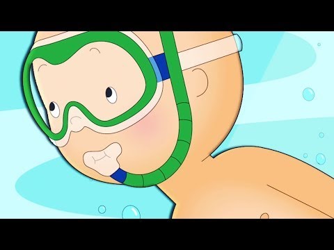 Caillou and the Beach Party | Caillou | Cartoons for Kids | WildBrain - Caillou & Cartoons