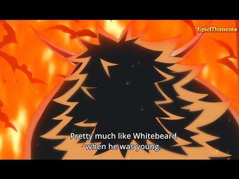 One Piece - WHITEBEARD JR. appears in WANO!