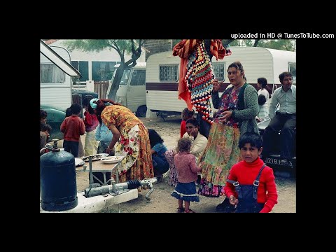 OGCALE X GITANOS DE RAZA