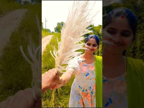 Trending #shortsfeed #minivlog #vlog #nature love #viral #youtube