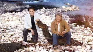 Am Rande des Schweigens