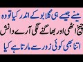 Sheeza Baji Part 9 Sabak Amoz Sachi Kahani Short Film Hindi Short Movie