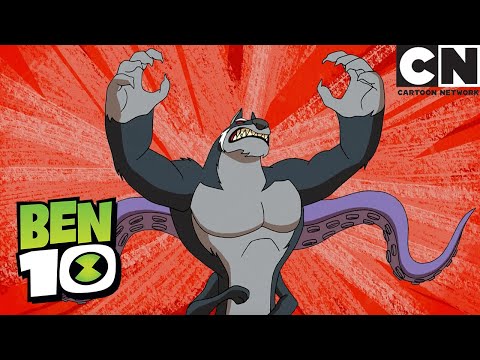 Dr Animo Transformuje | Ben 10 Po Polsku | Cartoon Network