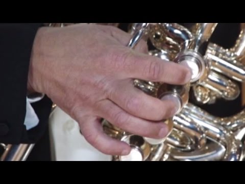 De Instrumenten Uit Het Orkest: Tuba - Orkest van het Oosten
