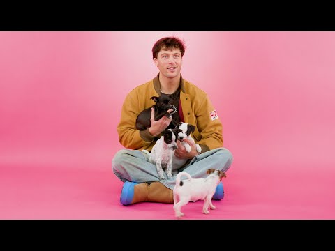 ロブ・ラウシュ：子犬インタビュー (Rob Rausch: The Puppy Interview)