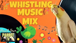 Whistle Music Mix for Birds | Fun Music for Birds to Whistle to | Parrot TV for Your Bird Room 😗🎵
