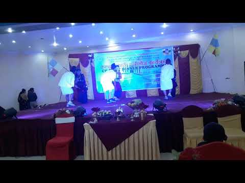 Jhilke Bhena|Cover Dance|Charity dinner program|Lalitpur