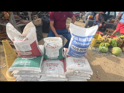 TEM DE TUDO NA FEIRA DA VILA JERIMUM TAQUARITINGA DO NORTE-PE 