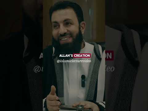 Gratitude Actions - Bilal Assad