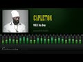 Capleton - Still A Bun Dem (Hypocrites Riddim) [HD]