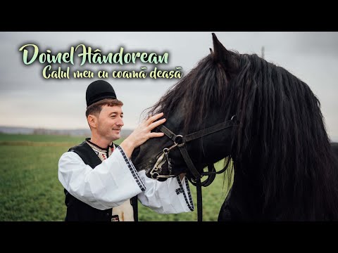 Doinel Hândorean - Calul meu cu coamă deasă❌ NOU 2023