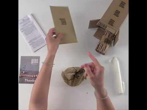 Видеообзор