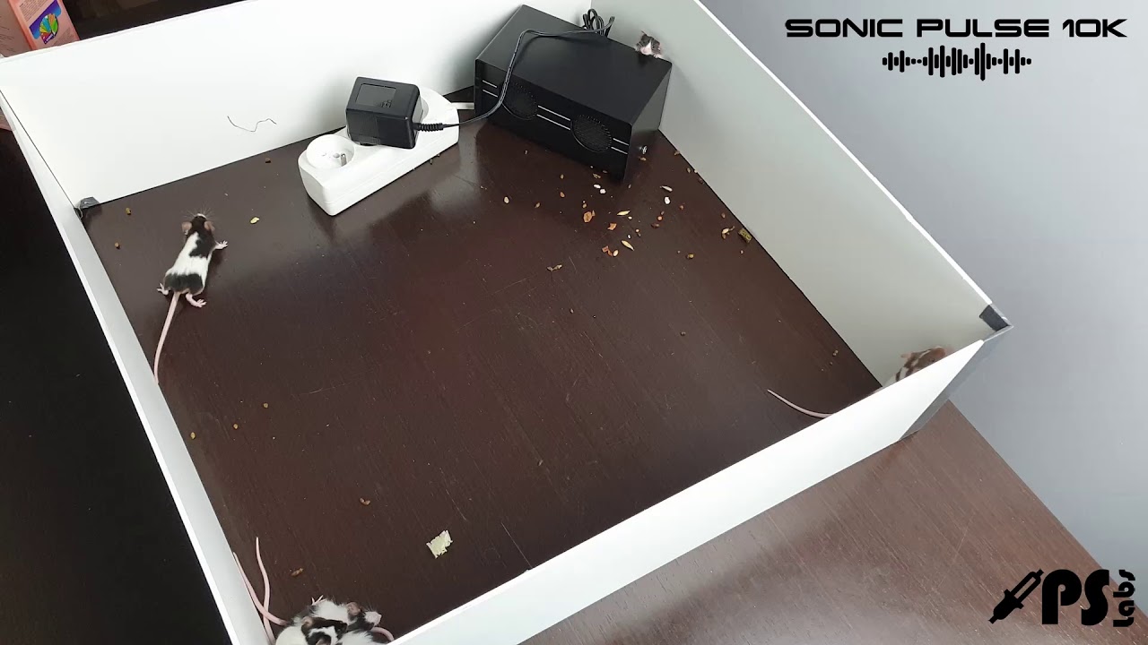 Prezentacja urządzenia: Odstraszacz SONIC PULSE 10K