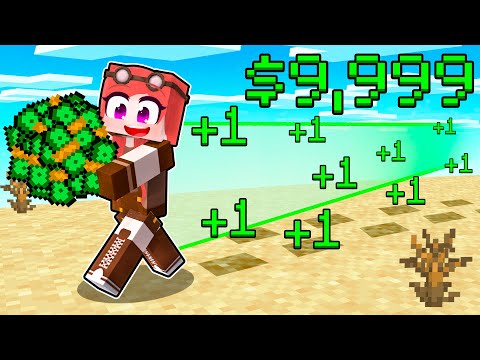 1 PASSO = 1€ SU MINECRAFT!