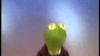 Kermit The Frog - Happy Feet