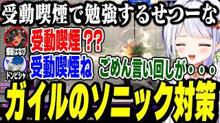 【スト6】ドンさん、はなびちゃんとスパー。ドンさんのガイルソニック対策を受動喫煙で勉強するせつーな【斜落せつな/ぶいぱい切り抜き】