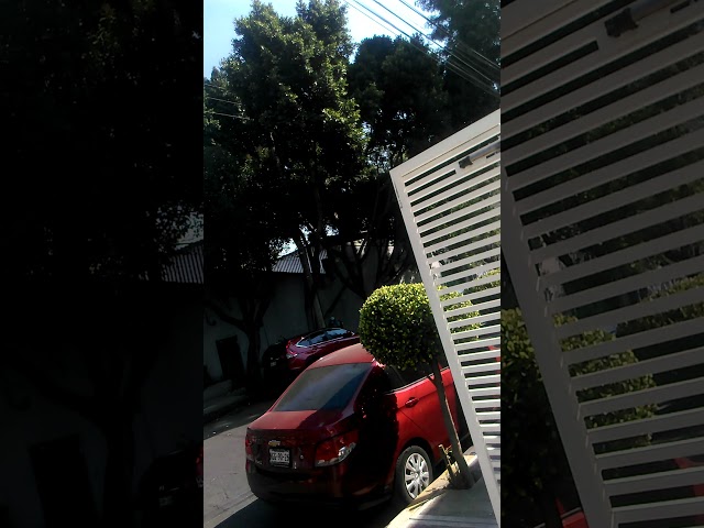 Vídeo relacionado con EuAcesry Fotocélulas Infrarrojas, Par de Sensor Puerta Garaje, Fotocelula Puerta Garaje, Alcance de 20 Metros, 12/24V AC/DC, Resistentes a Condiciones Meteorológicas Extremas