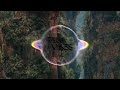 String Color - Levez Vous (Trakoz Remix)