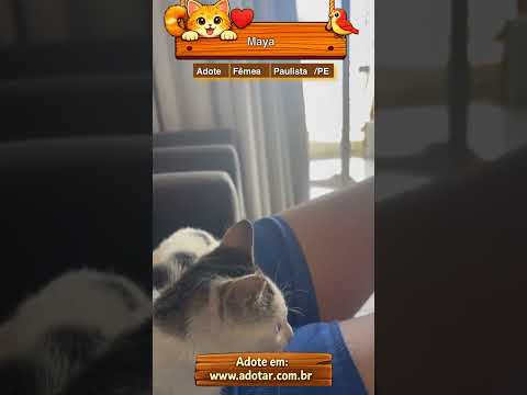 Vídeo de Maya