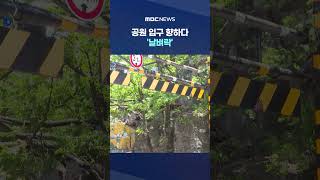 굴다리에서 차 떨어진 줄..공원 입구 향하다 '날벼락' #Shorts (MBC뉴스)