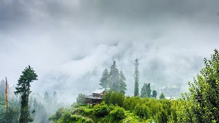 (No Copyright) Relaxing Music- Relaxing Meditation Music- Relaxing Piano Music-Relaxing Sleep Music