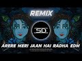 ARE RE MERI JAAN HAI RADHA REMIX ELECTRO DANCE MUSIC UNIQUE STYLE DJ DJ SIDAY REMIX 2024 NEW