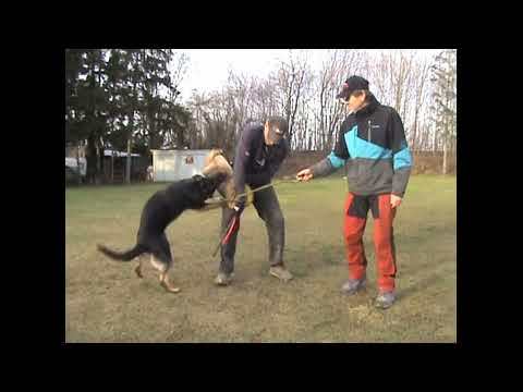 Unique z udoli Upy - protection 15 months