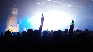 The International Language of Screaming - Super Furry Animals