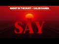 Caleb Raines - Ghosts in the Dust (Official Audio) | Country Soul Blues