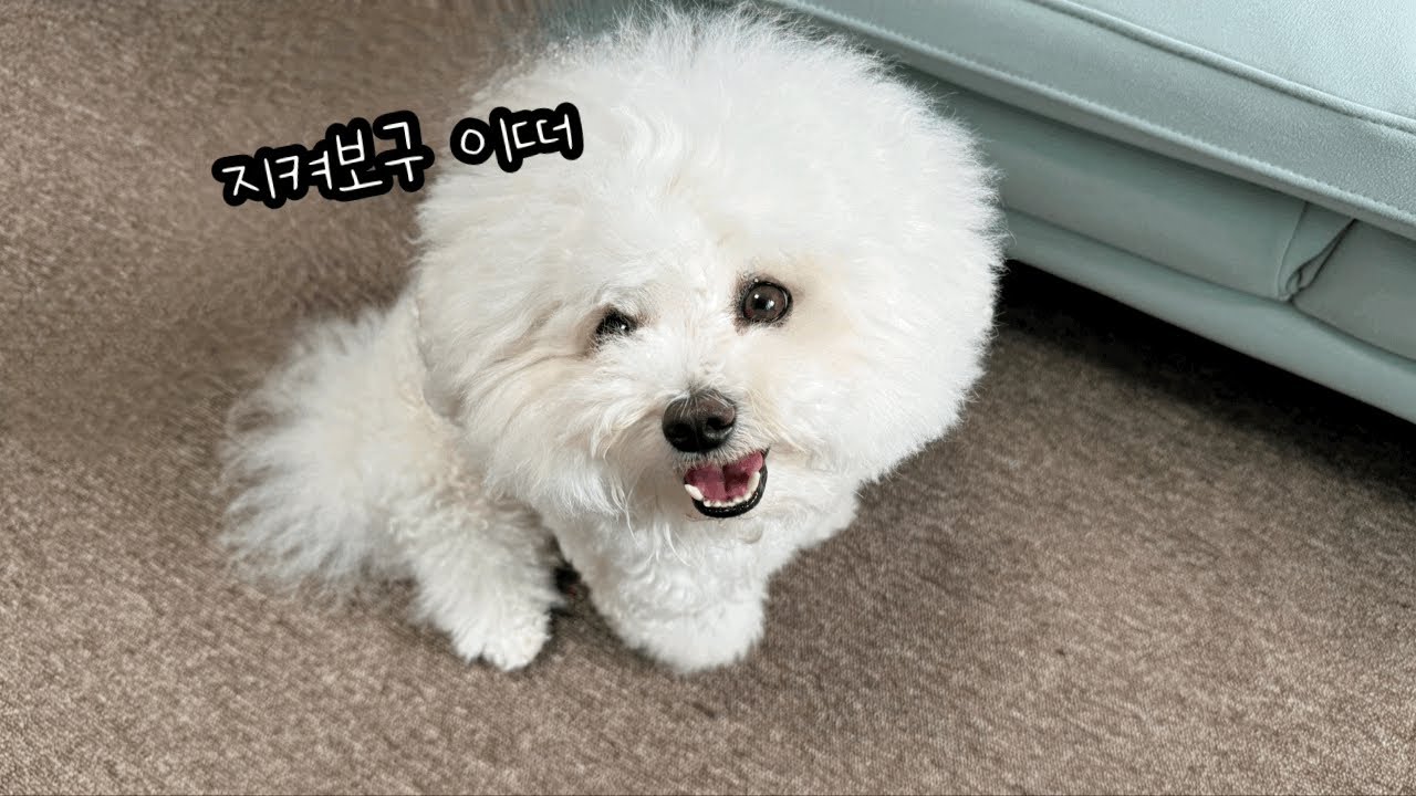 내가 등골이 오싹한 이유🥶