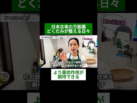 医療ビジネス薬科学科 🌿日本古来の万能薬　どくだみが整える日々🌿#shorts #ハーブ #体質改善 #どくだみ