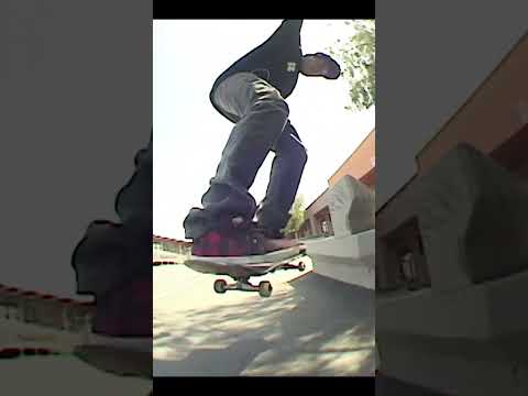 Two Lines Felipe Gustavo - Plan B vandalism