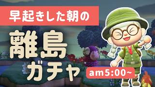 【あつ森雑談ラジオ】癒しと笑いが詰まった離島旅行-am5:00～｜睡眠・作業用