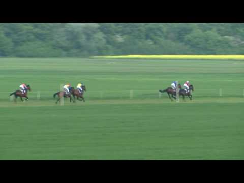 Šurany 7.5. Dostihy 6 - Cena LOKO TRANS Slovakia, s.r.o.