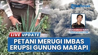 Gunung Marapi Sumbar Erupsi Lagi, Petani di Batu Palano Merugi, Ladang Terdampak Abu Vuklanik