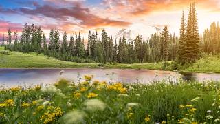 Take My Life, and Let It Be (Instrumental) - Traditional Beautiful Hymn arranged by Tim Janis