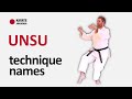 UNSU Shotokan Karate Kata Tutorial Step By Step With Technique Names