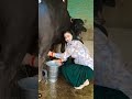 Indian Iillage Very Beautiful ️Girl Milking Buffalo Milking Youtubeshorts