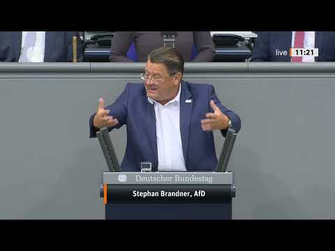 🔥 Stephan Brandner (AfD) EMPÖRT – „Merz ist kein demokratisch gewählter Kanzler!“