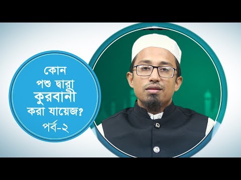 কোন পশু দ্বারা কুরবানী করা জায়েয :: মাওলানা ইমরান হাসান (কুরবানীর ফাযায়েল-মাসায়েল)