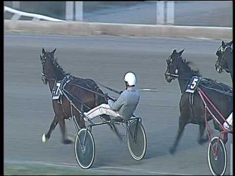 Trotto 27/01/2017 - 3ª corsa